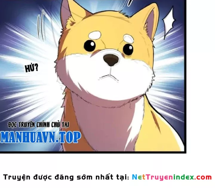 Tối Cường Khí Thiếu (Bản Mới) Chapter 15 - Trang 11