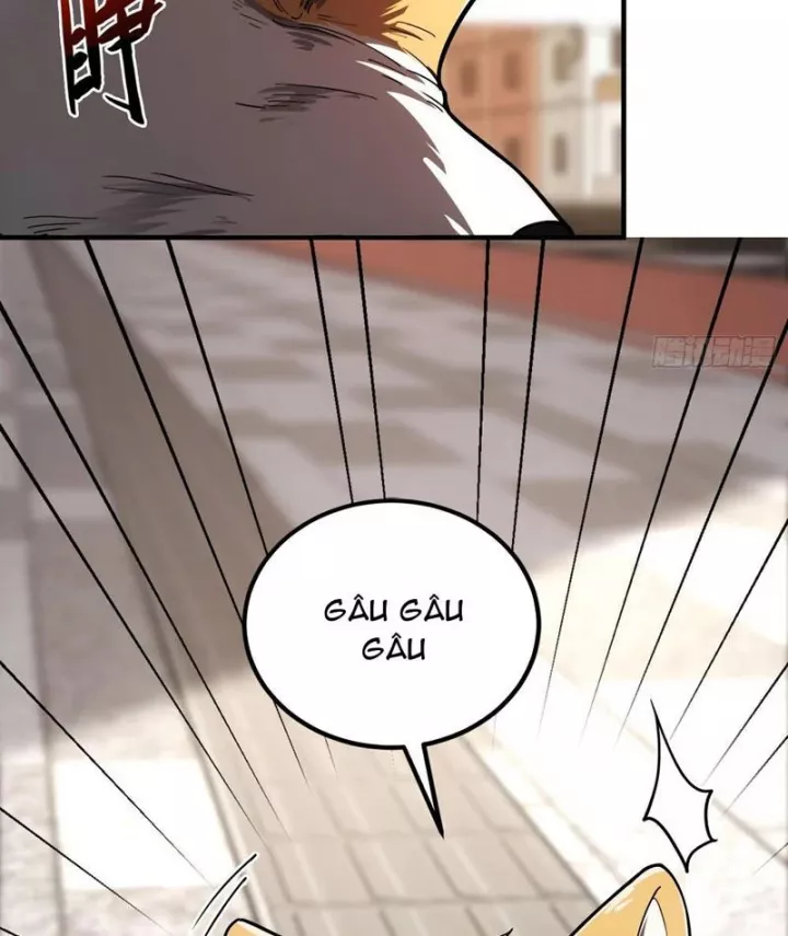 Tối Cường Khí Thiếu (Bản Mới) Chapter 3 - Trang 47