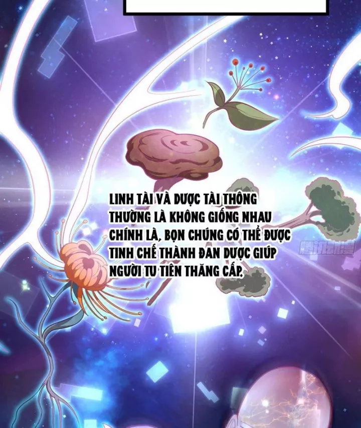 Tối Cường Khí Thiếu (Bản Mới) Chapter 5 - Trang 11