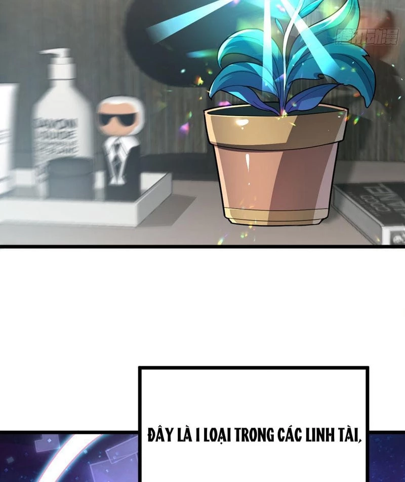 Tối Cường Khí Thiếu Chapter 5 - Trang 8