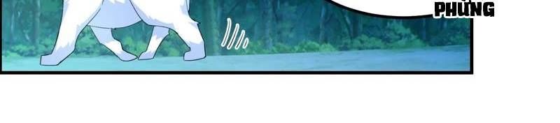 Tối Cường Quang Hoàn Hệ Thống Chapter 29 - Trang 17