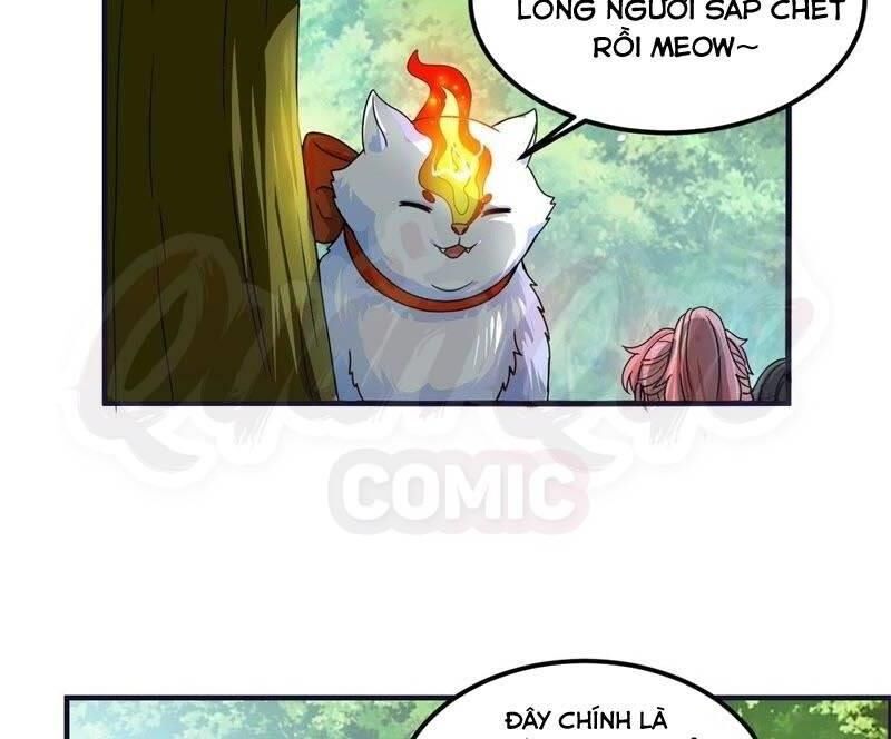 Tối Cường Quang Hoàn Hệ Thống Chapter 51 - Trang 21