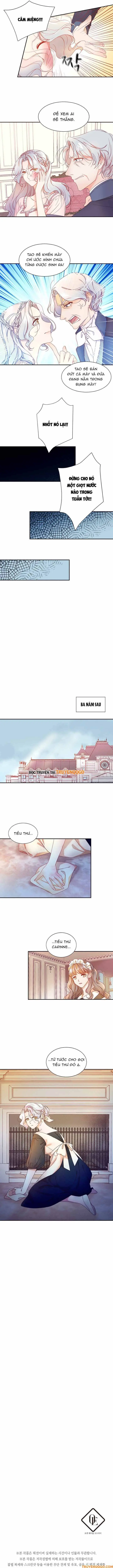 Tôi Đã Sinh Con Cho Kẻ Sát Nhân Chapter 2 - Trang 8
