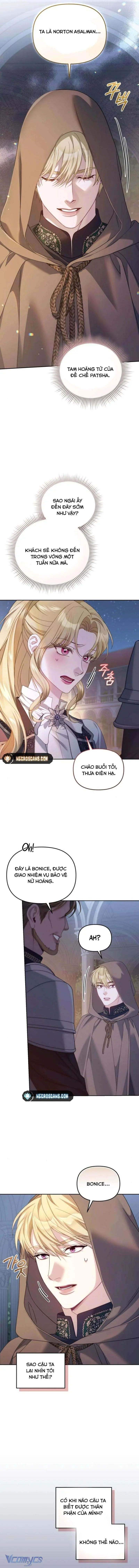 Tôi Đã Trải Qua Đêm Đầu Tiên Dù Chỉ Là Hoàng Hậu Thay Thế Chapter 29 - Trang 7