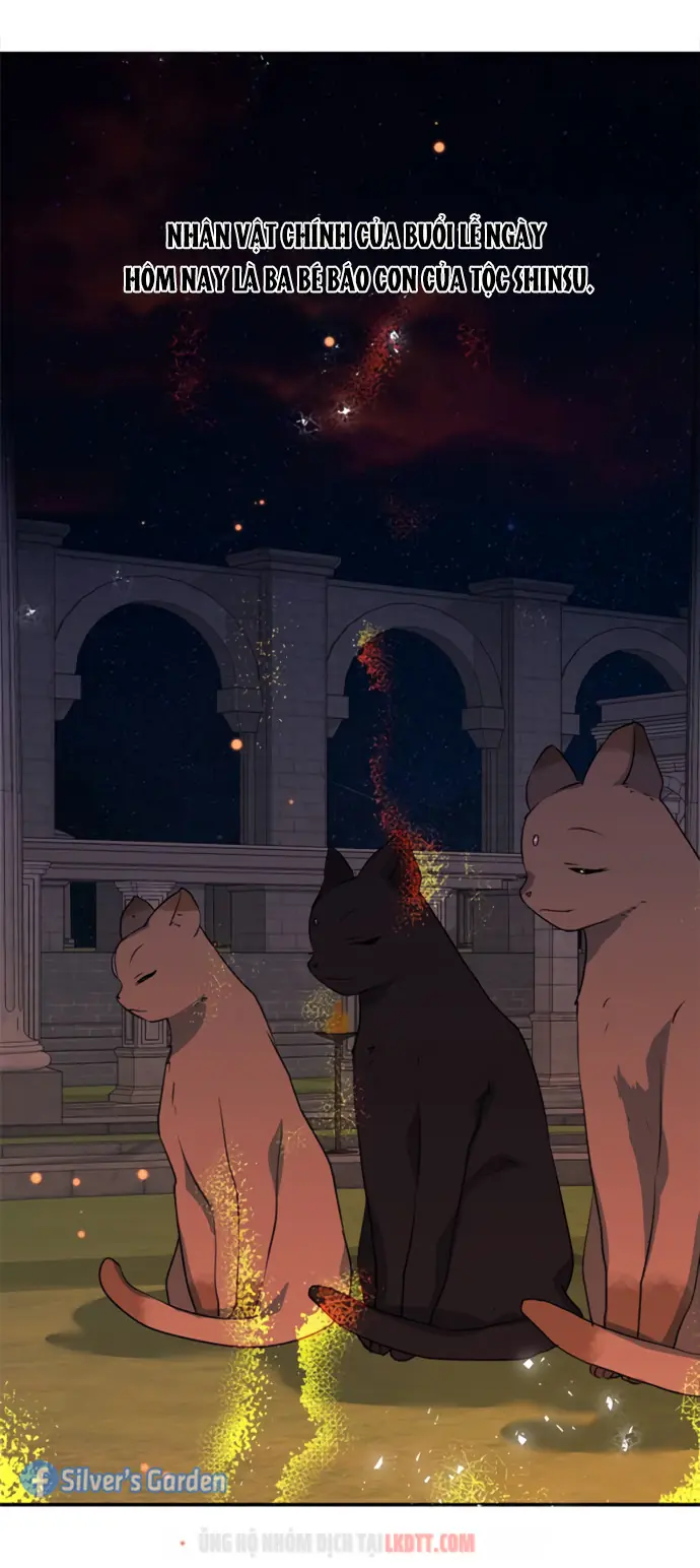 Tôi Đang Nuôi Dưỡng Một Con Quái Thú Chapter 18 - Trang 40