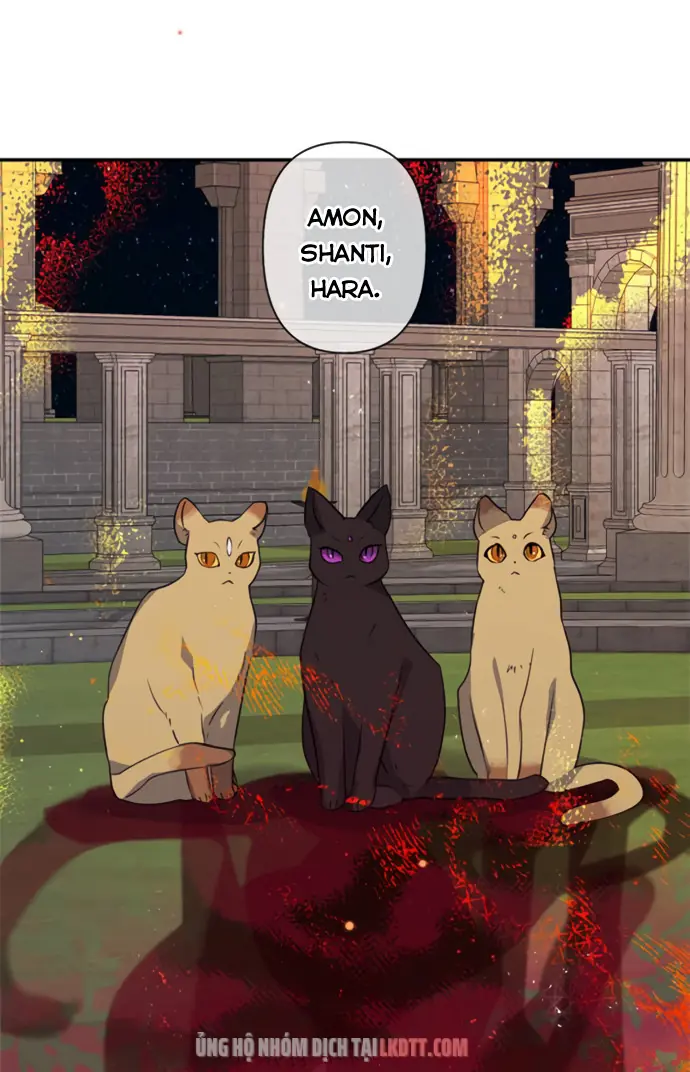 Tôi Đang Nuôi Dưỡng Một Con Quái Thú Chapter 18 - Trang 50