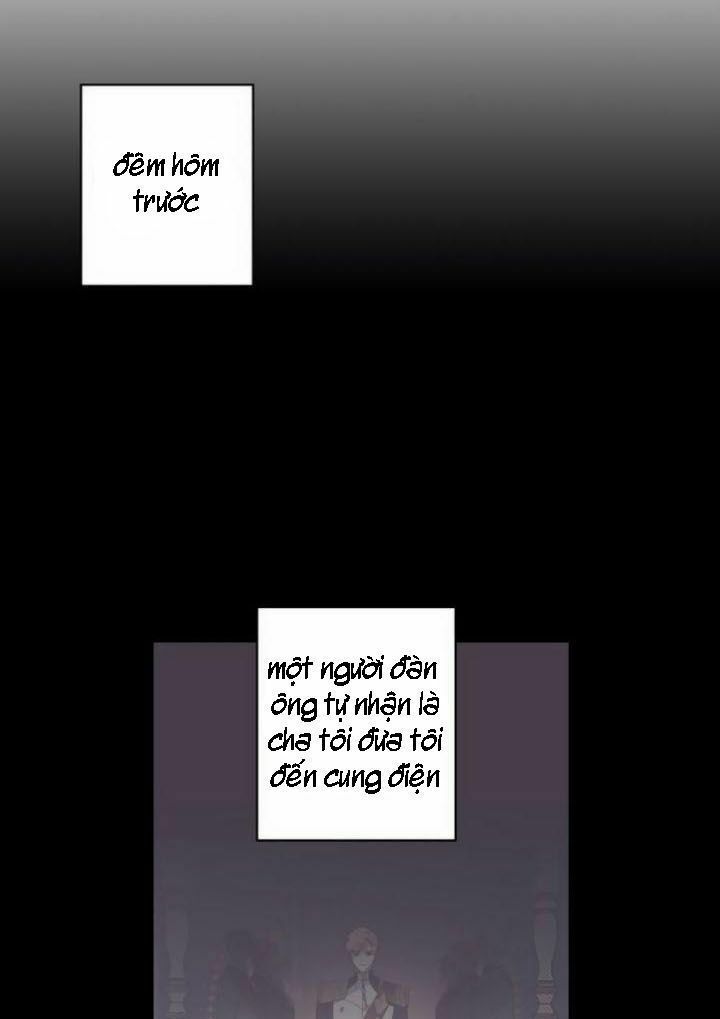 Tôi Đang Nuôi Dưỡng Một Con Quái Thú Chapter 2 - Trang 5