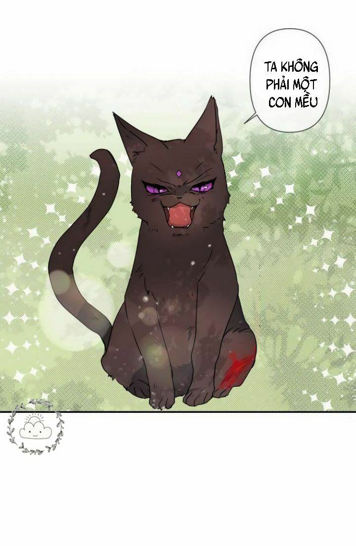 Tôi Đang Nuôi Dưỡng Một Con Quái Thú Chapter 3 - Trang 3
