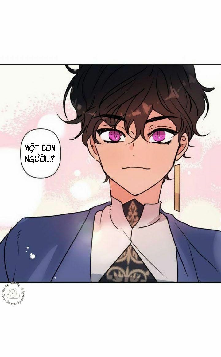 Tôi Đang Nuôi Dưỡng Một Con Quái Thú Chapter 4 - Trang 5