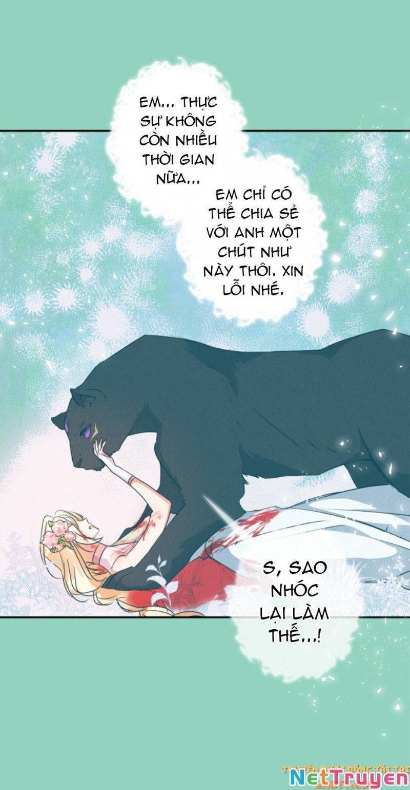 Tôi Đang Nuôi Dưỡng Một Con Quái Thú Chapter 48 - Trang 11