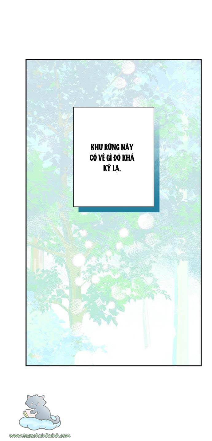 Tôi Đang Nuôi Dưỡng Một Con Quái Thú Chapter 59 - Trang 21