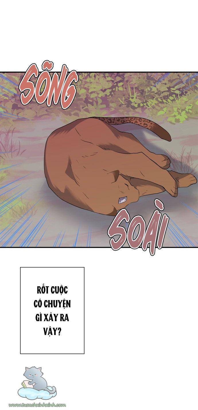 Tôi Đang Nuôi Dưỡng Một Con Quái Thú Chapter 60 - Trang 32