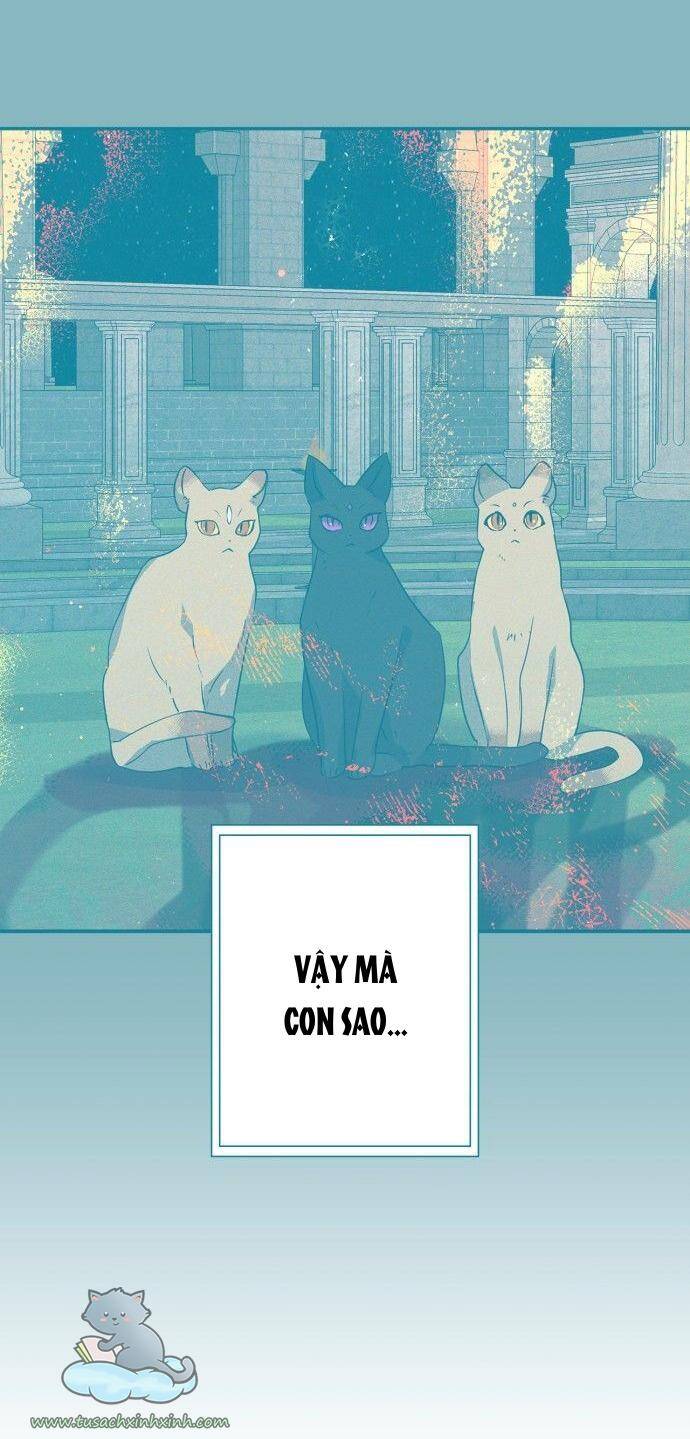 Tôi Đang Nuôi Dưỡng Một Con Quái Thú Chapter 64 - Trang 37
