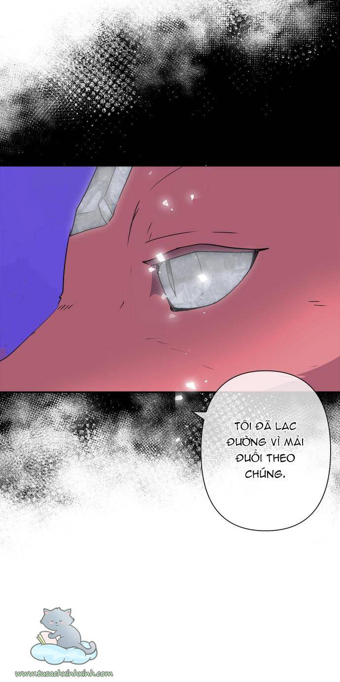 Tôi Đang Nuôi Dưỡng Một Con Quái Thú Chapter 70 - Trang 29