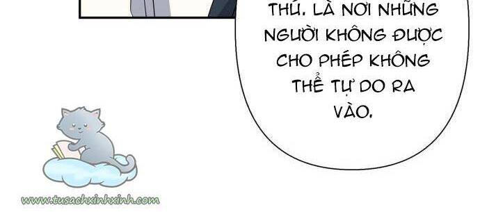 Tôi Đang Nuôi Dưỡng Một Con Quái Thú Chapter 79 - Trang 14