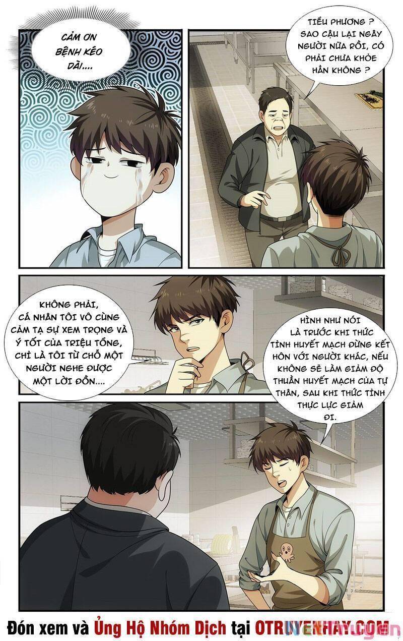 Tôi Được Hệ Thống Ủy Thác Chapter 26 - Trang 17