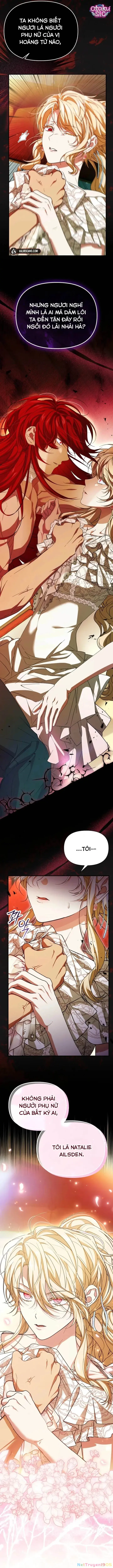 Tôi Không Thích Thể Loại Harem Ngược Chapter 23 - Trang 13