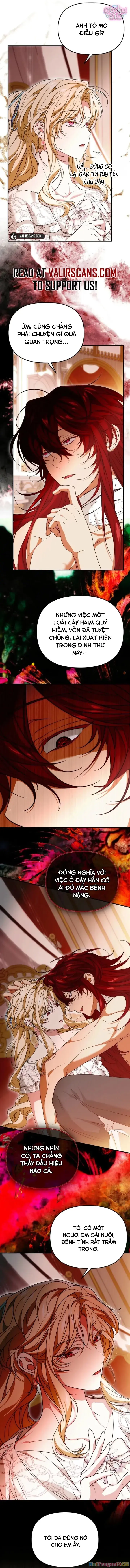 Tôi Không Thích Thể Loại Harem Ngược Chapter 24 - Trang 16