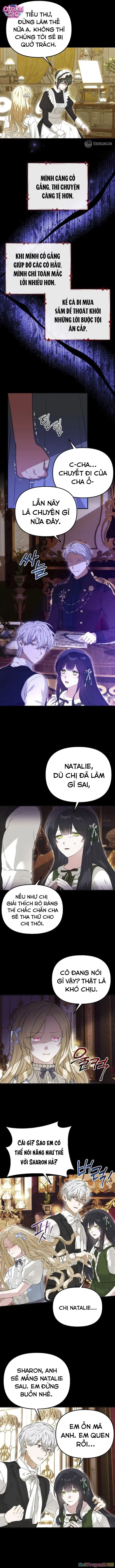 Tôi Không Thích Thể Loại Harem Ngược Chapter 4 - Trang 4