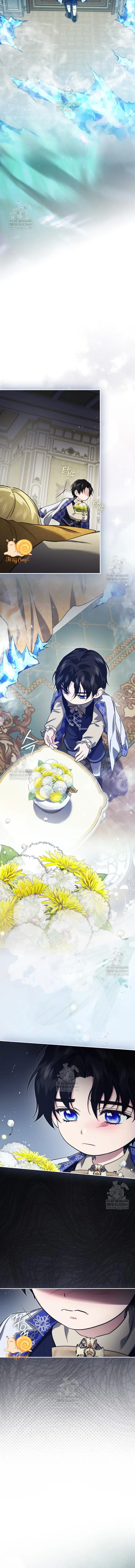 Tôi Là Một Điệp Viên 5 Tuổi Đã Bắt Cóc Kẻ Phản Diện Chapter 17 - Trang 13