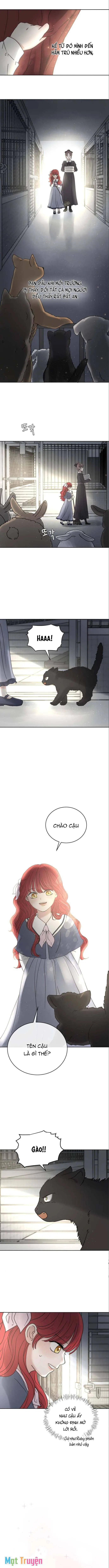 Tôi nhận nuôi nam chính từ nhà tù Chapter 18 - Trang 2