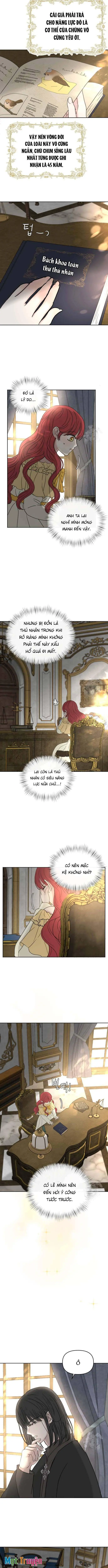 Tôi nhận nuôi nam chính từ nhà tù Chapter 28 - Trang 4