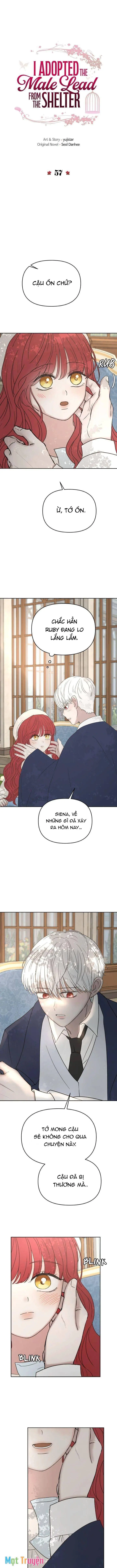 Tôi nhận nuôi nam chính từ nhà tù Chapter 57 - Trang 2