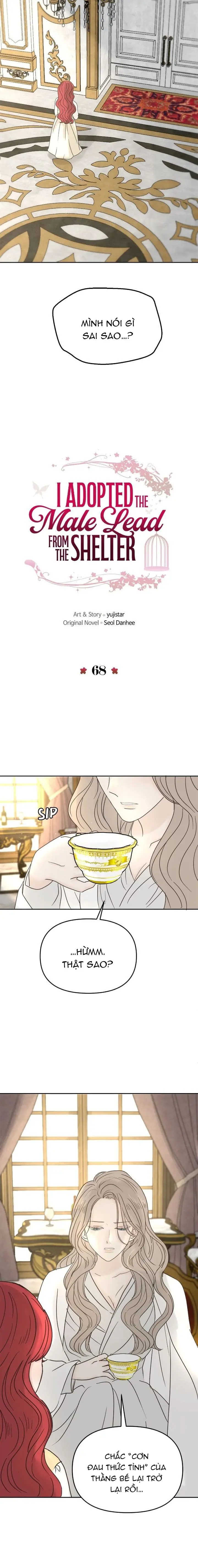 Tôi nhận nuôi nam chính từ nhà tù Chapter 68 - Trang 7