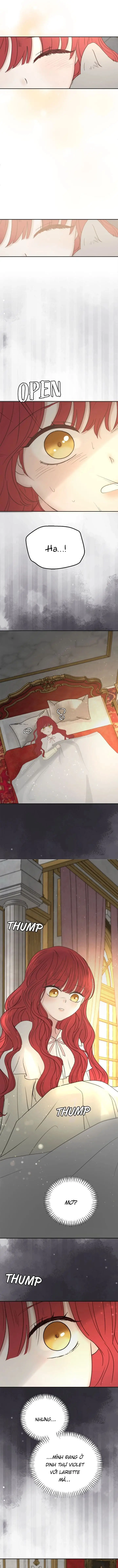 Tôi nhận nuôi nam chính từ nhà tù Chapter 70 - Trang 7