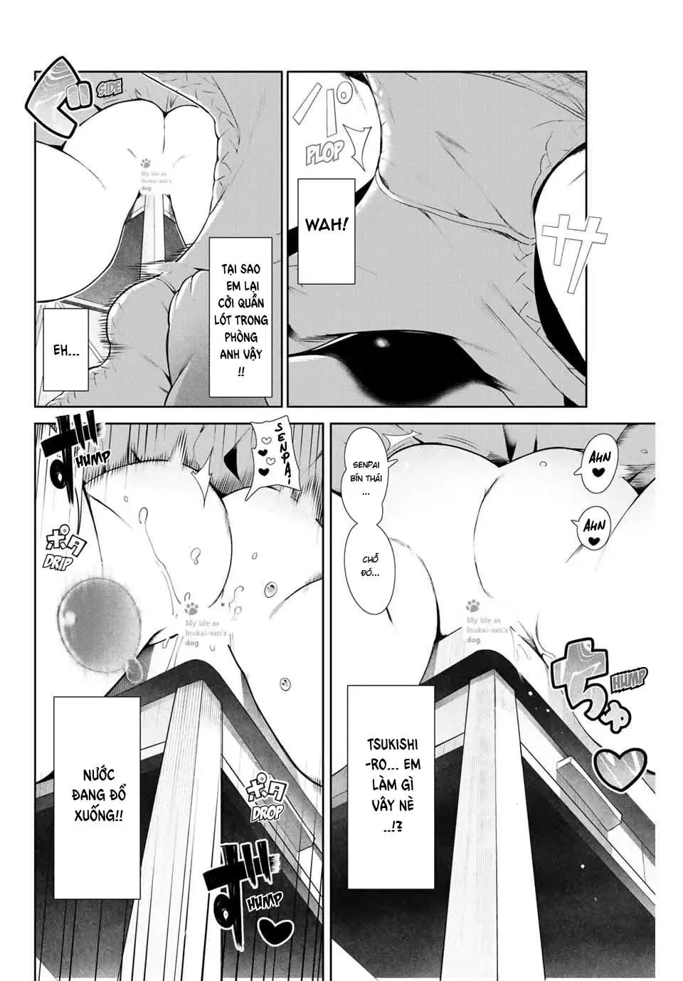 Tôi Tái Sinh Thành Chó Và Được Cô Bạn Cùng Lớp Nhận Nuôi!? Chapter 8 - Trang 11