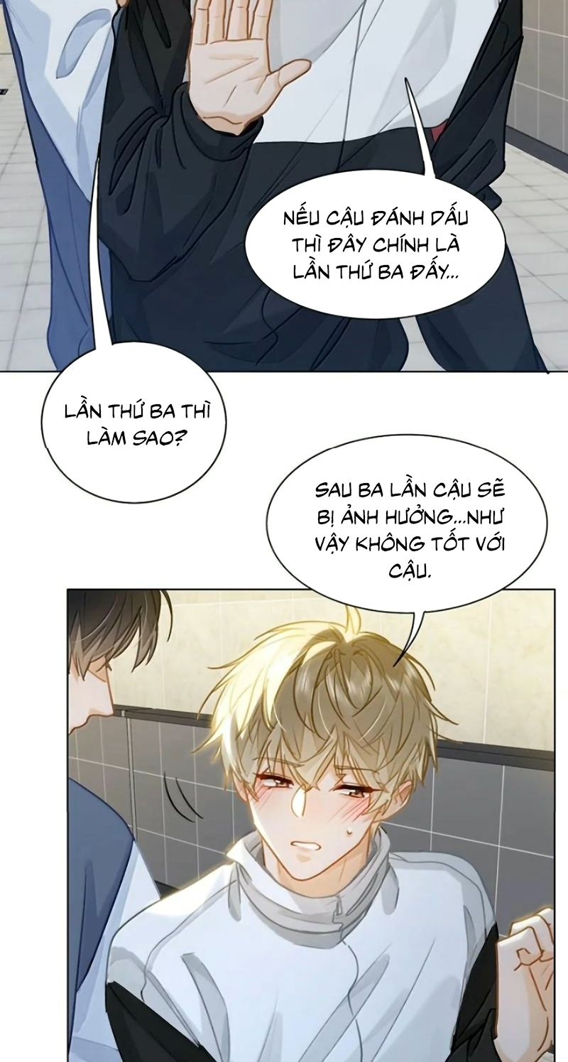 Tôi Thích Tin Tức Tố Của Cậu Chapter 101 - Trang 34