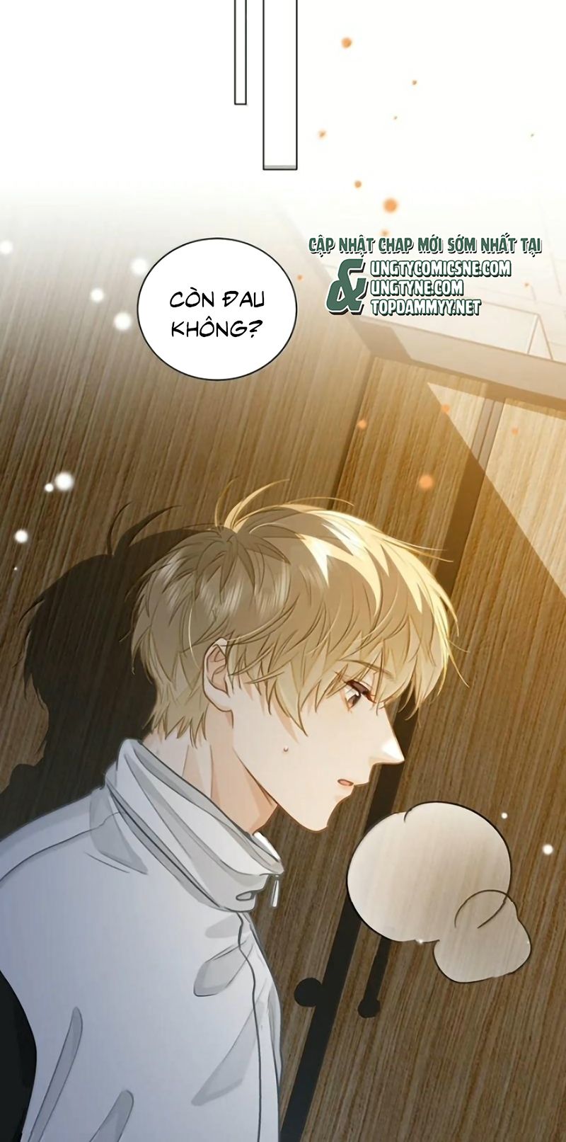 Tôi Thích Tin Tức Tố Của Cậu Chapter 101 - Trang 4