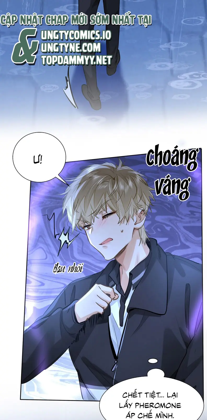 Tôi Thích Tin Tức Tố Của Cậu Chapter 51 - Trang 11