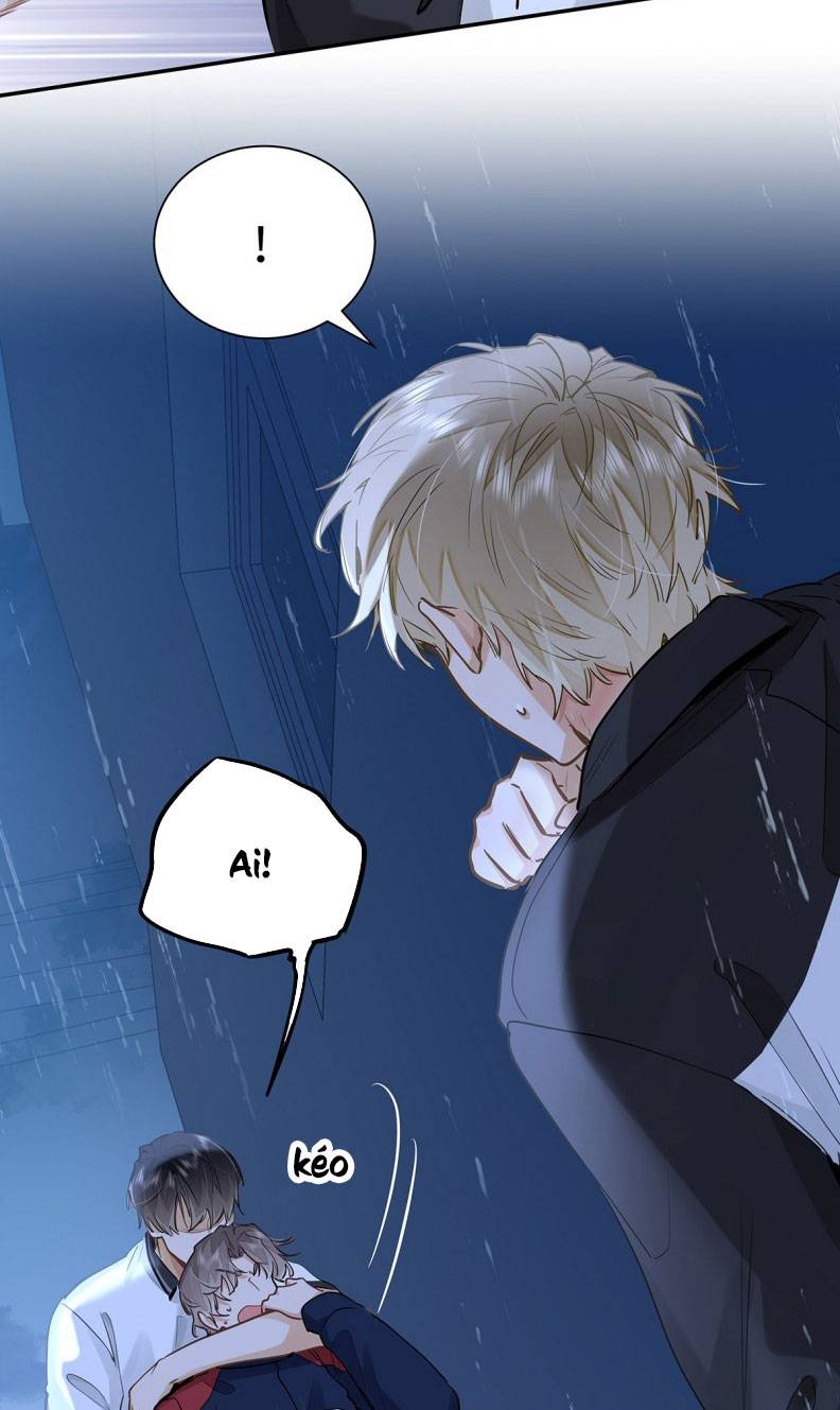 Tôi Thích Tin Tức Tố Của Cậu Chapter 52 - Trang 13