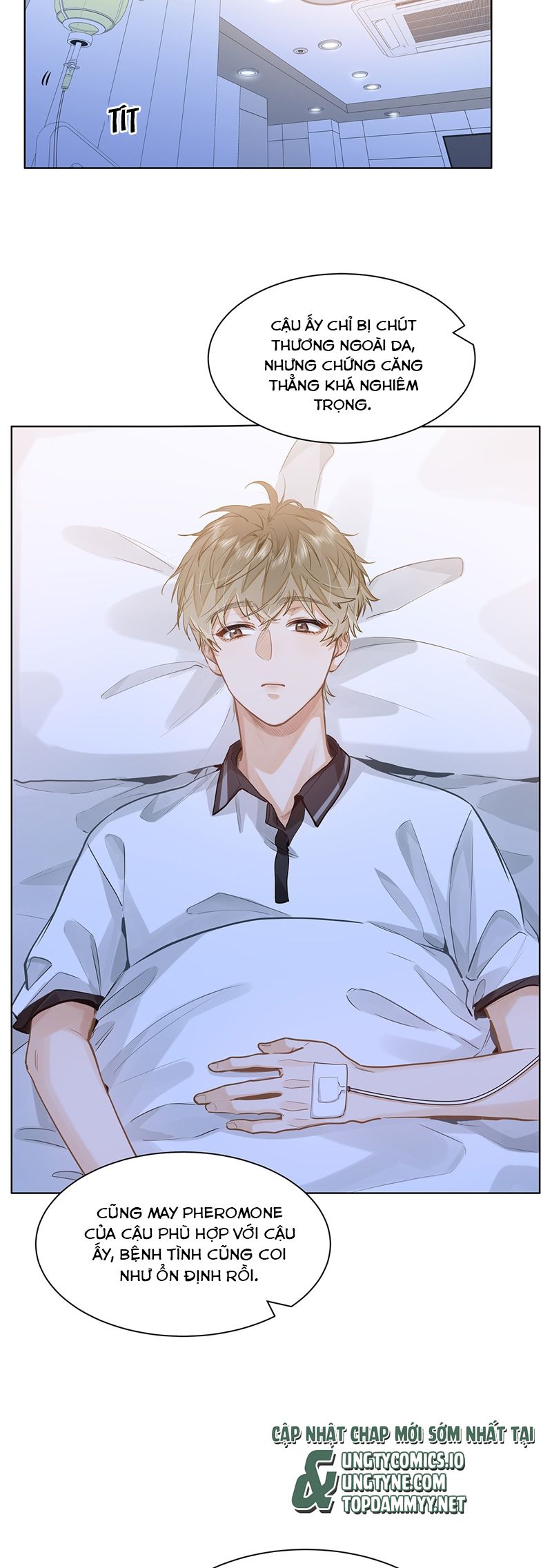 Tôi Thích Tin Tức Tố Của Cậu Chapter 53 - Trang 11
