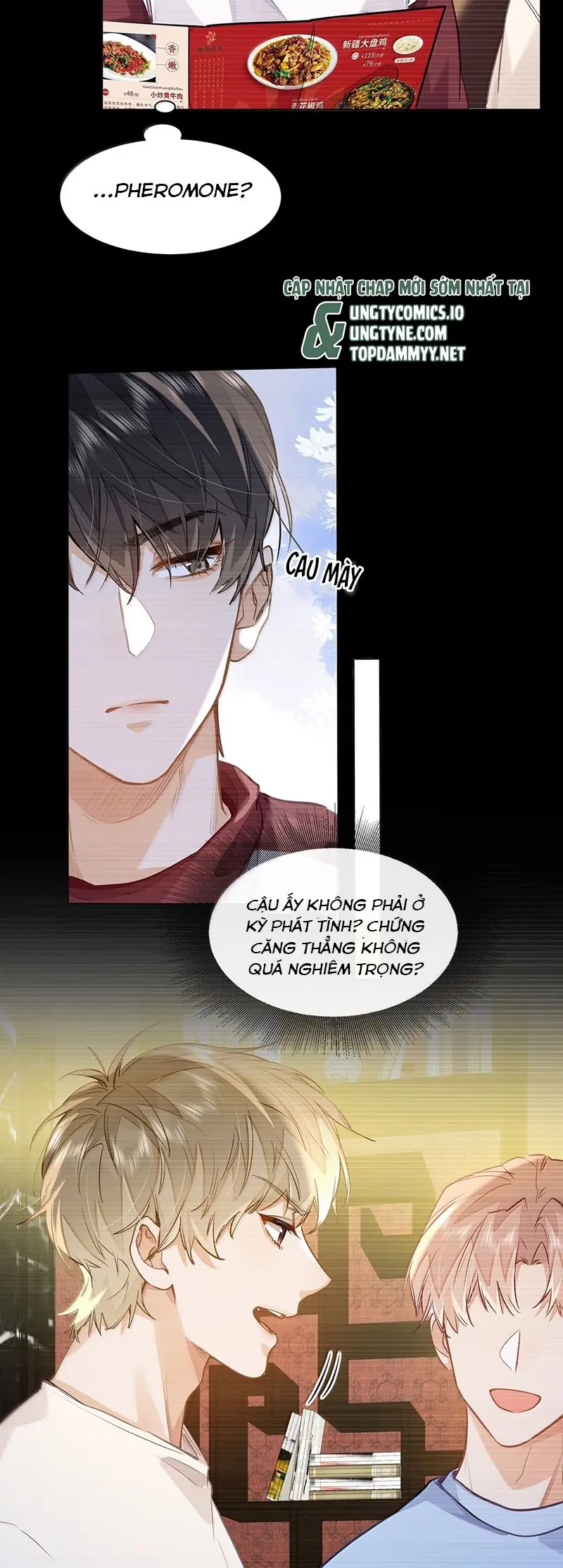 Tôi Thích Tin Tức Tố Của Cậu Chapter 55 - Trang 17
