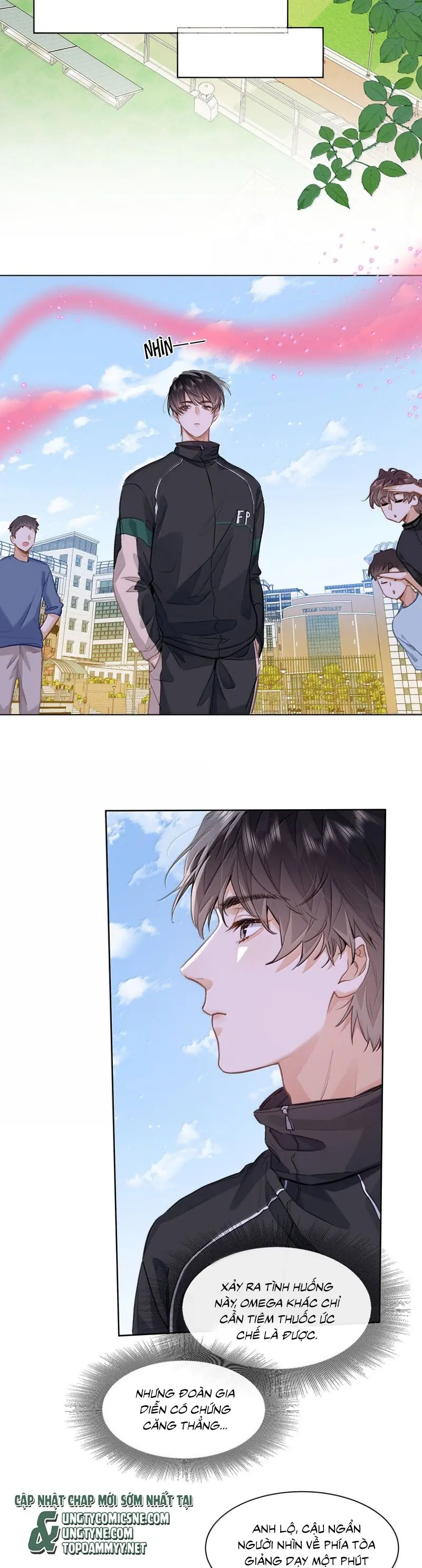 Tôi Thích Tin Tức Tố Của Cậu Chapter 65 - Trang 5