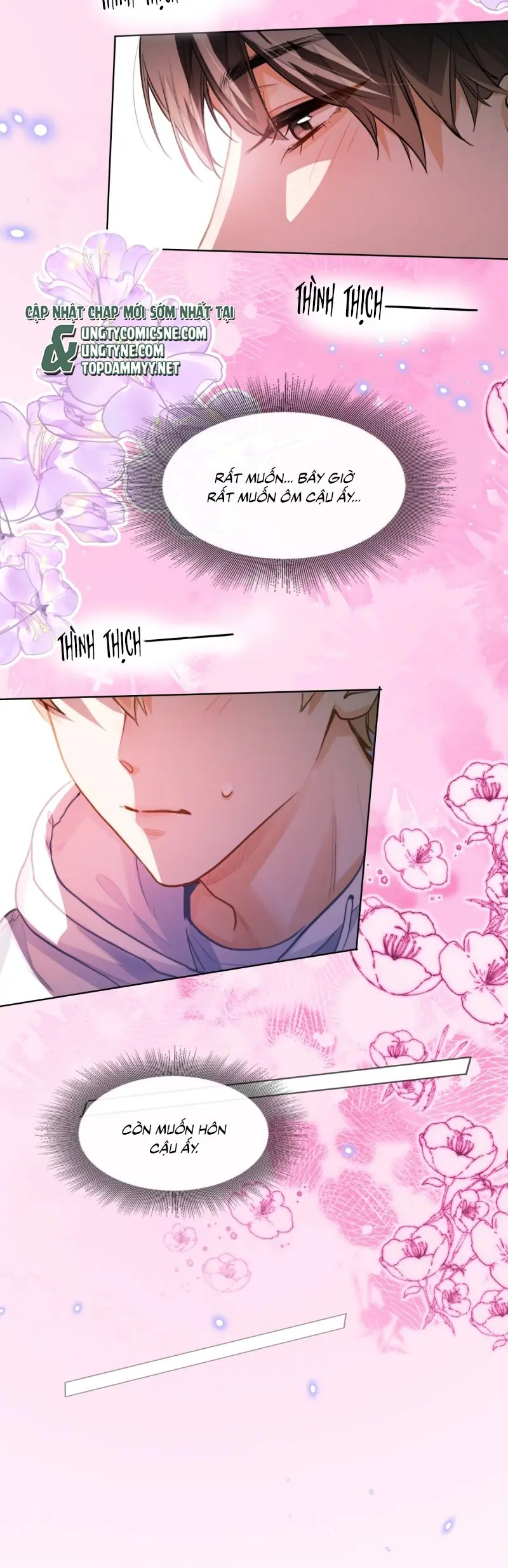 Tôi Thích Tin Tức Tố Của Cậu Chapter 76 - Trang 6