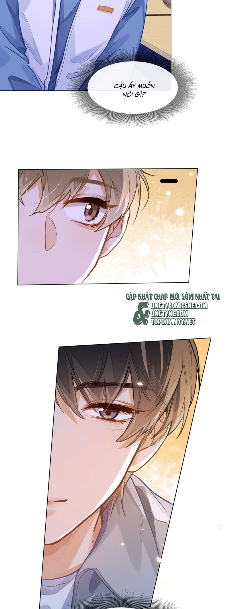 Tôi Thích Tin Tức Tố Của Cậu Chapter 78 - Trang 20