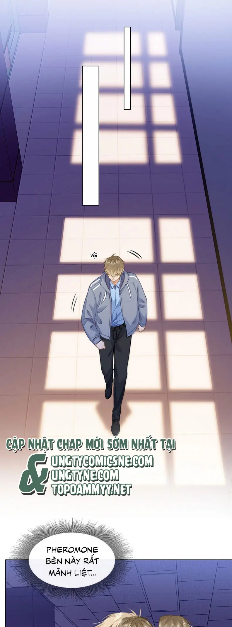 Tôi Thích Tin Tức Tố Của Cậu Chapter 82 - Trang 8