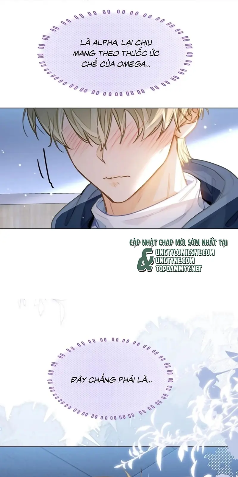 Tôi Thích Tin Tức Tố Của Cậu Chapter 90 - Trang 34