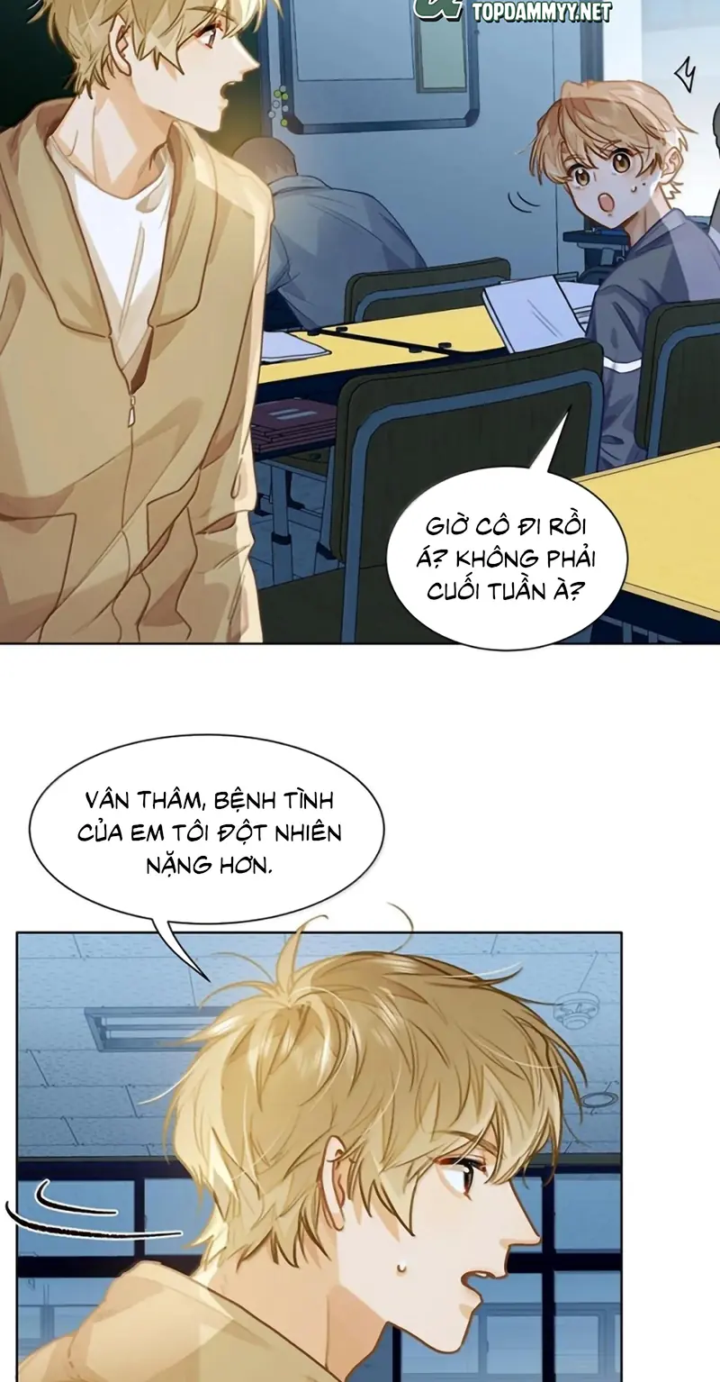 Tôi Thích Tin Tức Tố Của Cậu Chapter 91 - Trang 13