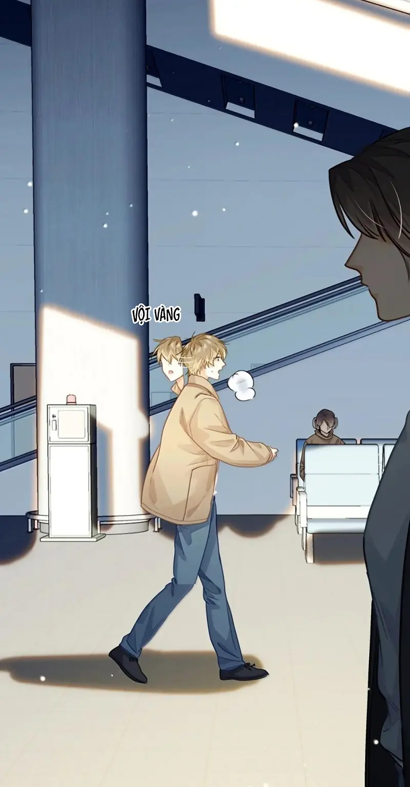 Tôi Thích Tin Tức Tố Của Cậu Chapter 91 - Trang 18