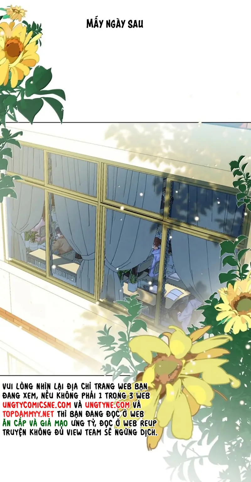 Tôi Thích Tin Tức Tố Của Cậu Chapter 91 - Trang 4