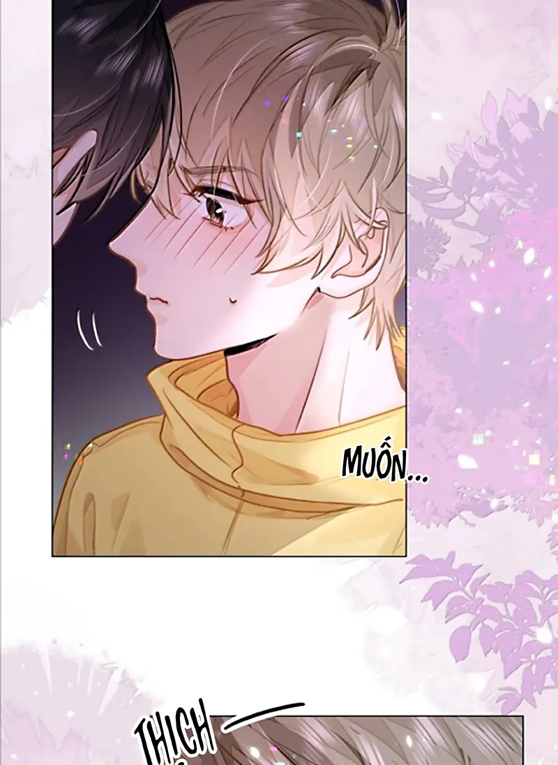 Tôi Thích Tin Tức Tố Của Cậu Chapter 94 - Trang 4