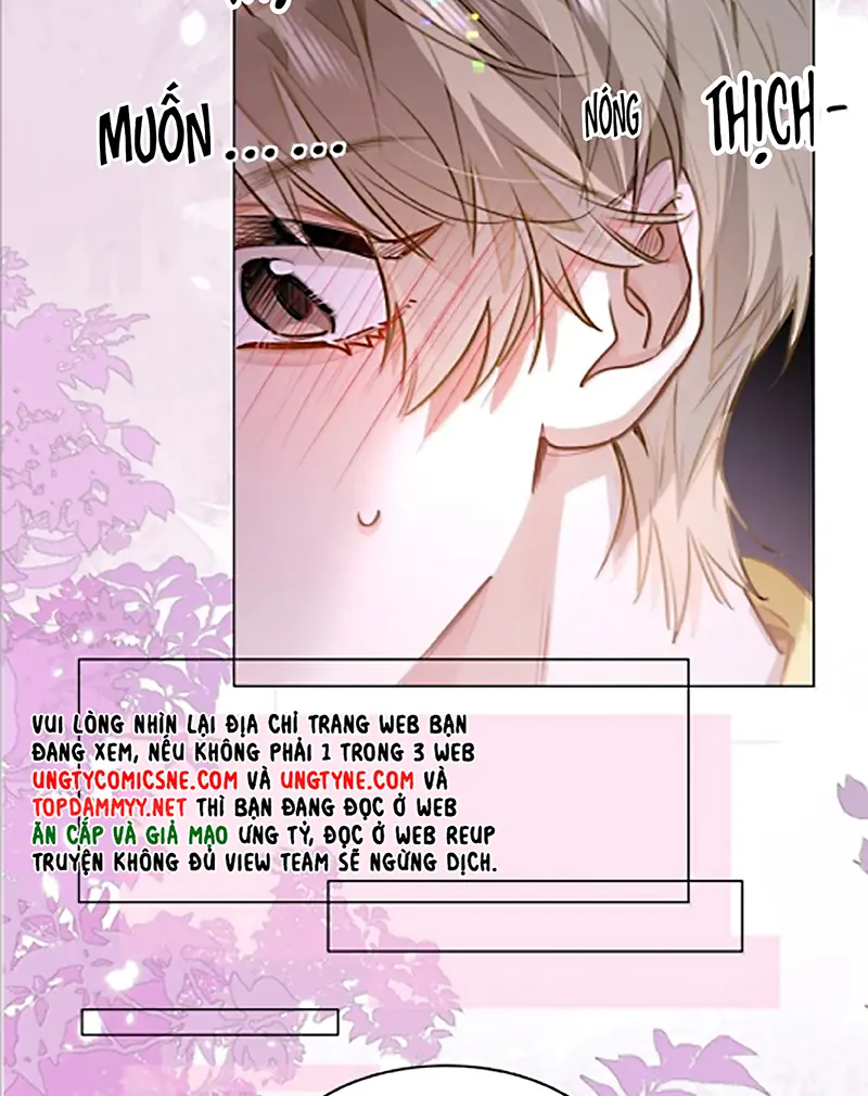 Tôi Thích Tin Tức Tố Của Cậu Chapter 94 - Trang 5