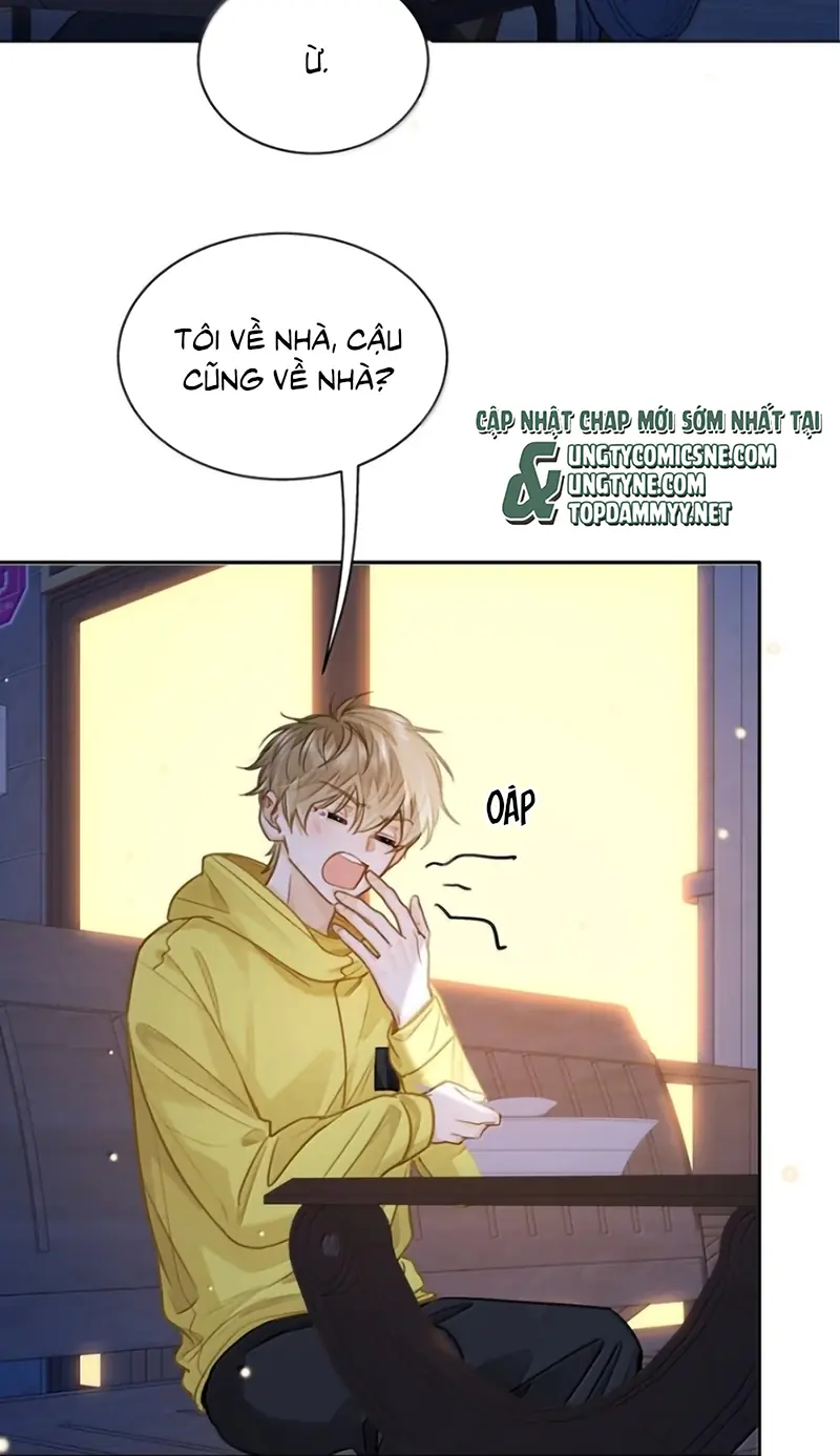 Tôi Thích Tin Tức Tố Của Cậu Chapter 95 - Trang 15