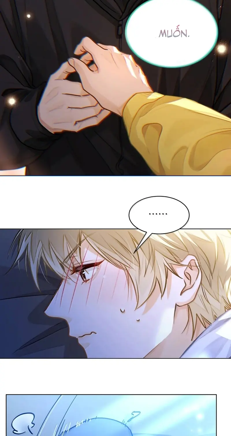 Tôi Thích Tin Tức Tố Của Cậu Chapter 96 - Trang 24