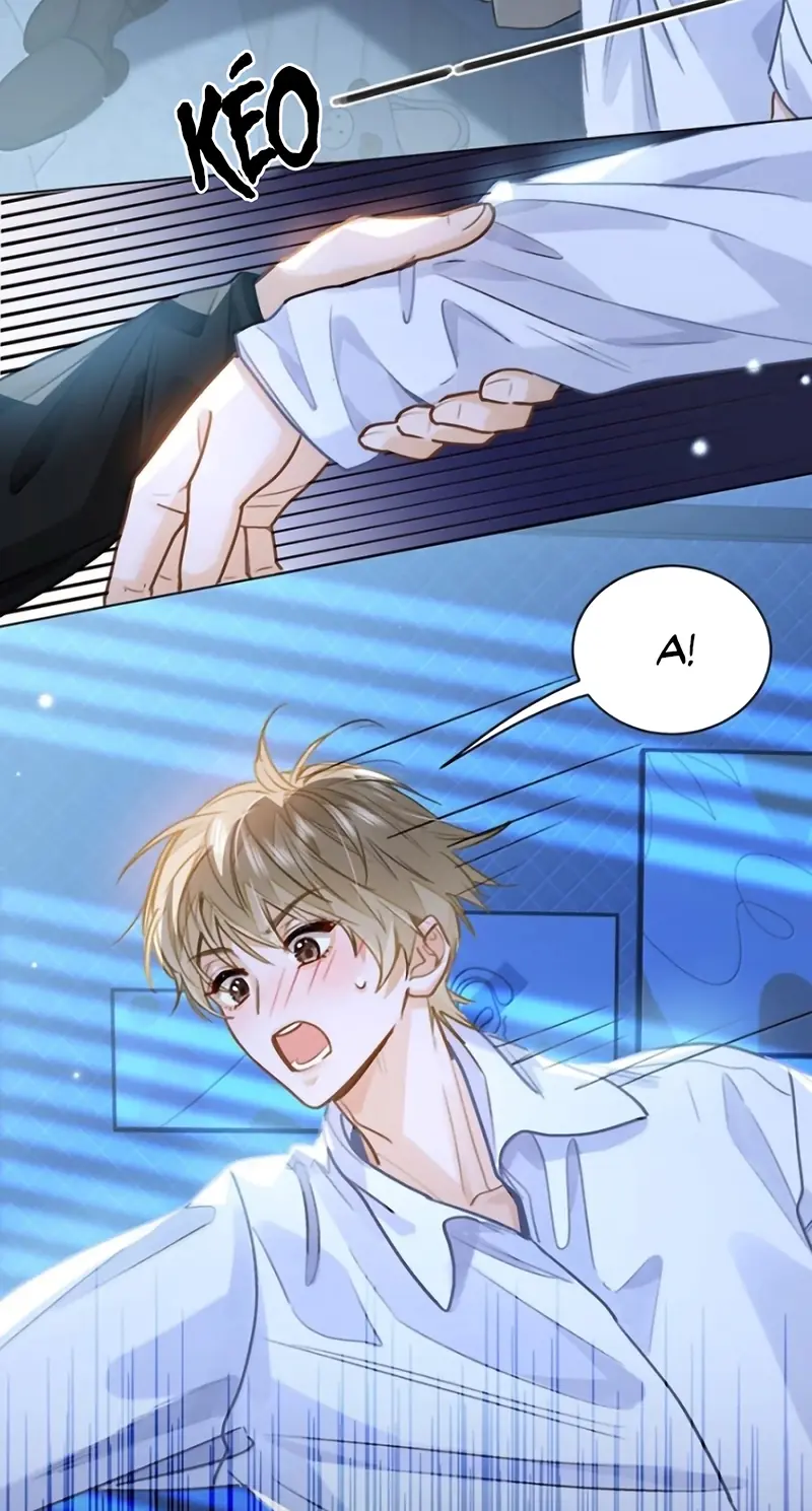 Tôi Thích Tin Tức Tố Của Cậu Chapter 97 - Trang 5