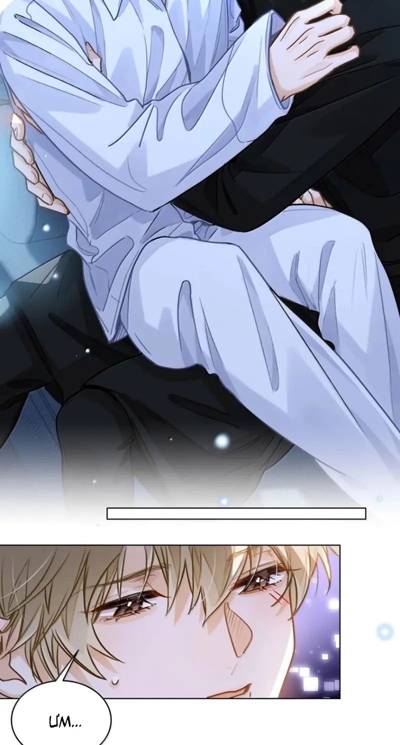 Tôi Thích Tin Tức Tố Của Cậu Chapter 97 - Trang 7